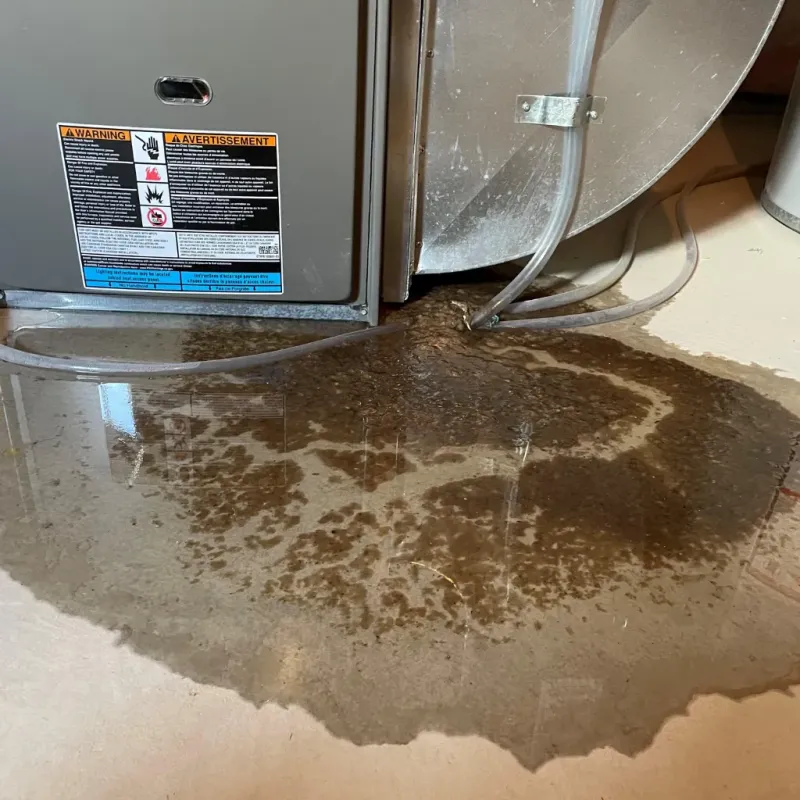 Appliance Leak Cleanup in Burke, VA